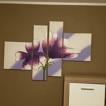 Apartment Ferien- Messewohnung Naehe Koeln-messe Flughafen Bonn